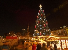 Eventi di Natale a Pietrasanta Foto
