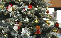 Eventi di Natale in Versilia Foto